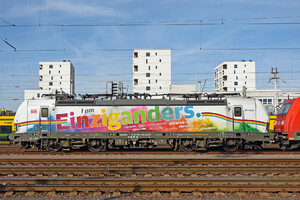 193 366 Siemens Vectron MS Operated By DB Cargo AG